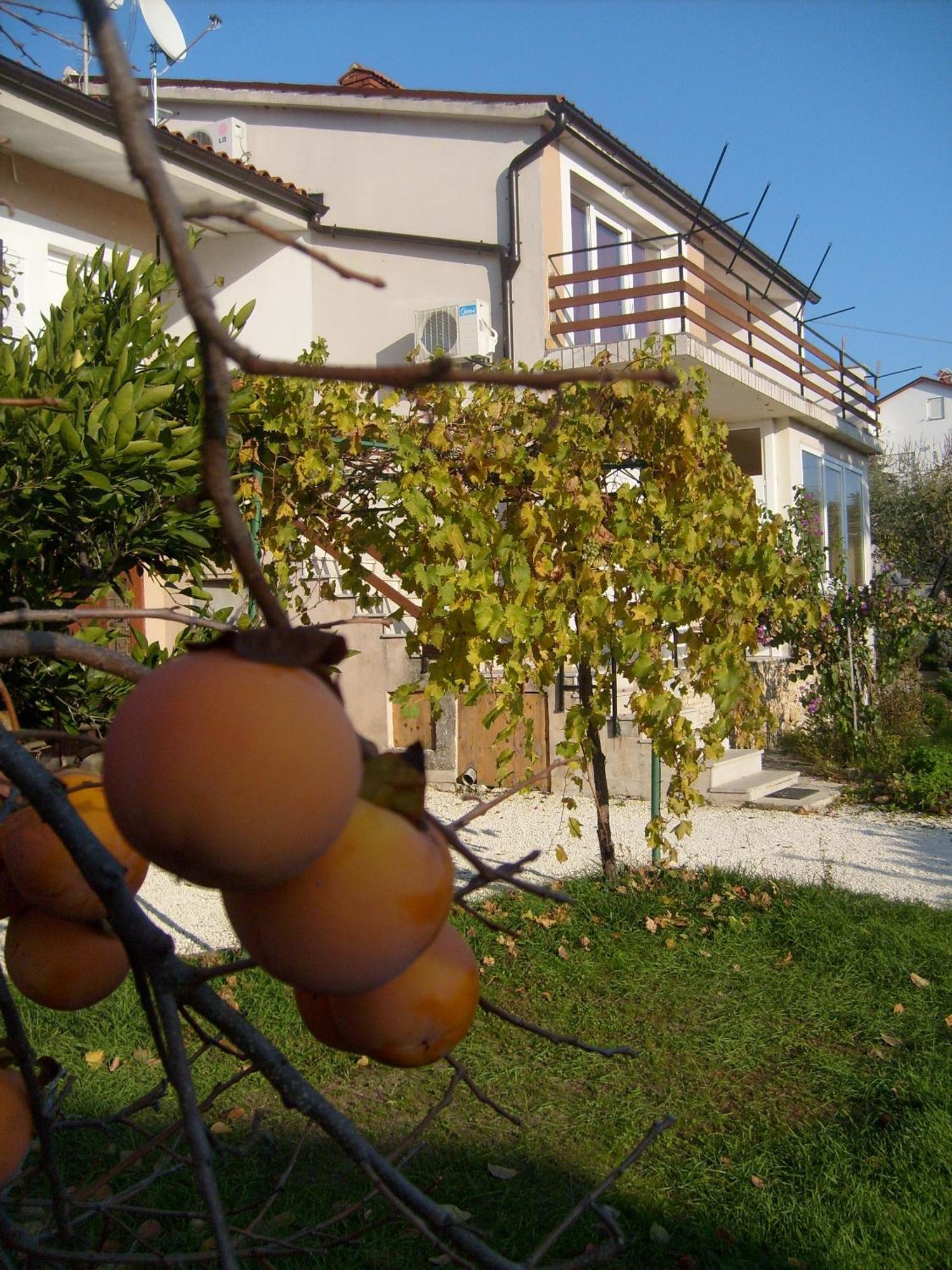 Apartments Bernic Medulin Exterior photo